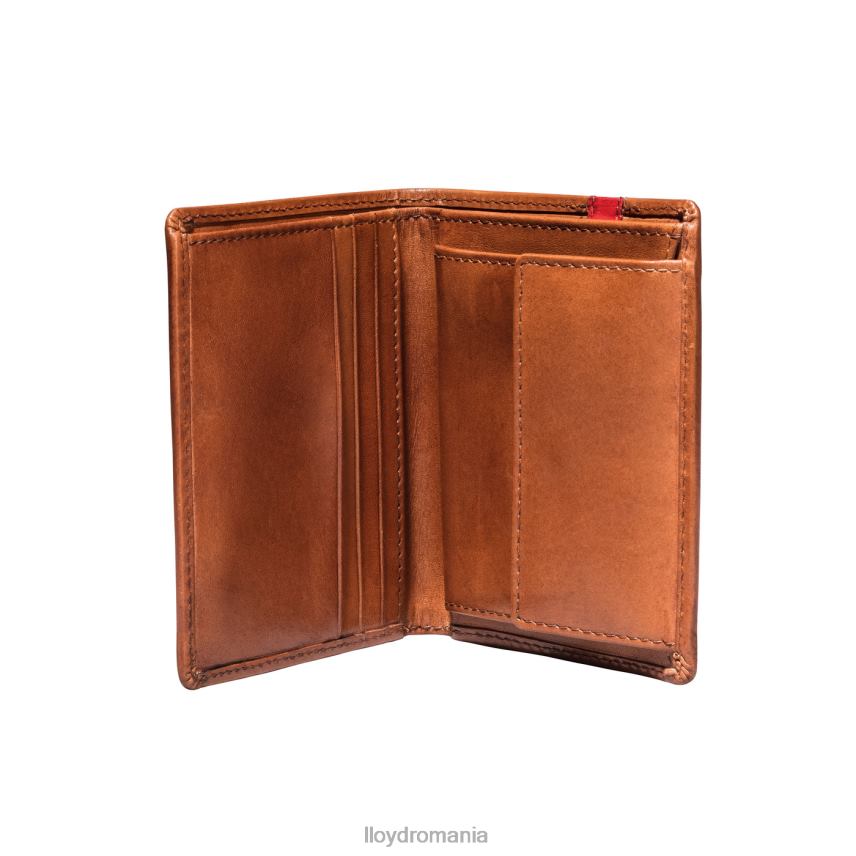 accesorii LLOYD buzunar maro bărbați 68260656