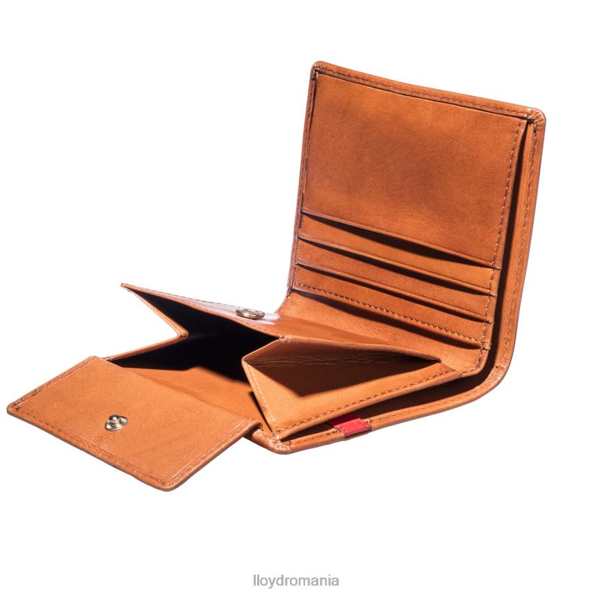 accesorii LLOYD buzunar maro bărbați 68260656