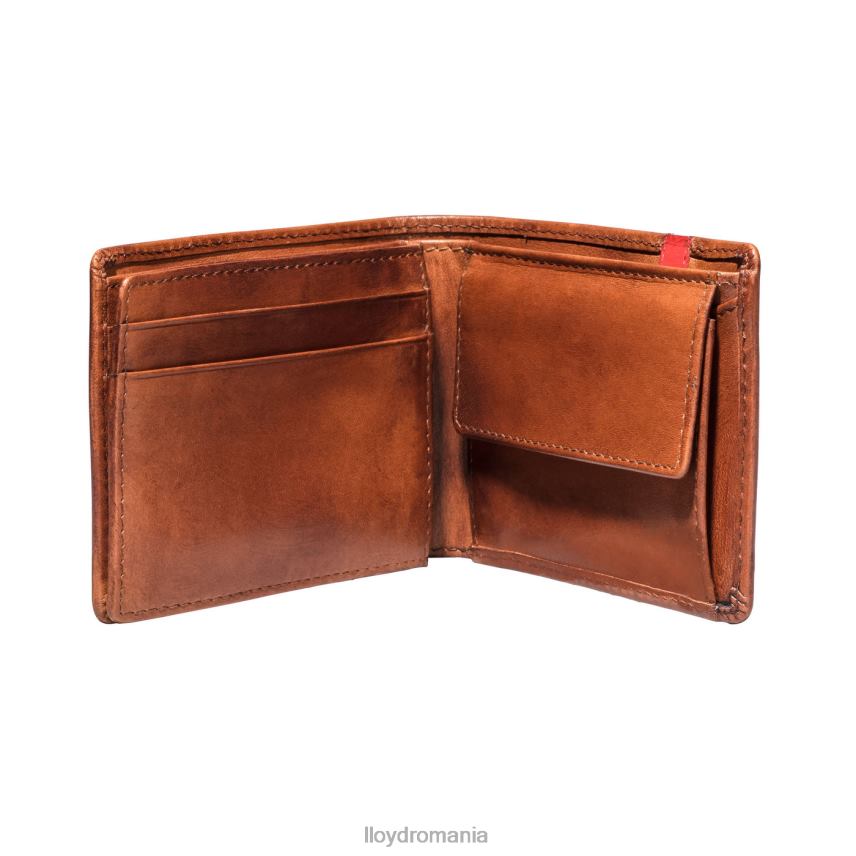 accesorii LLOYD buzunar maro bărbați 68260677