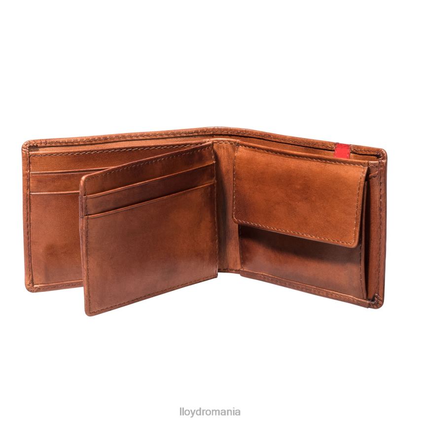 accesorii LLOYD buzunar maro bărbați 68260677