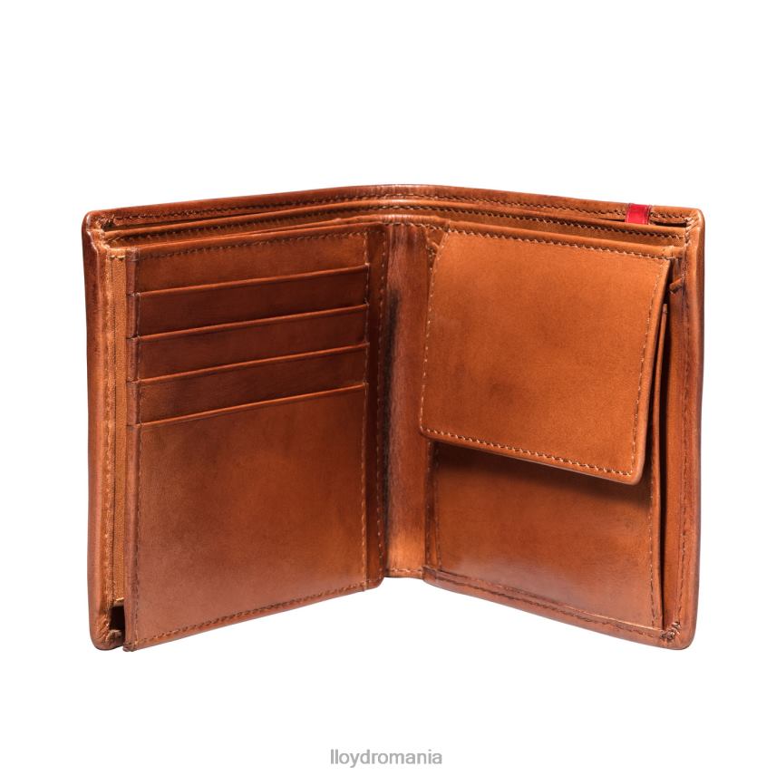 accesorii LLOYD buzunar maro bărbați 68260680