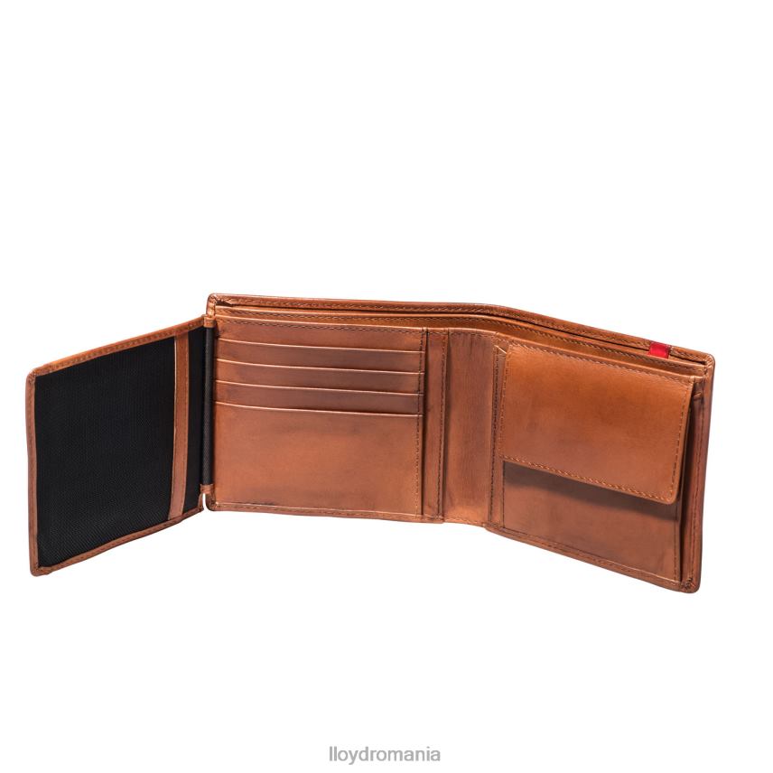 accesorii LLOYD buzunar maro bărbați 68260680