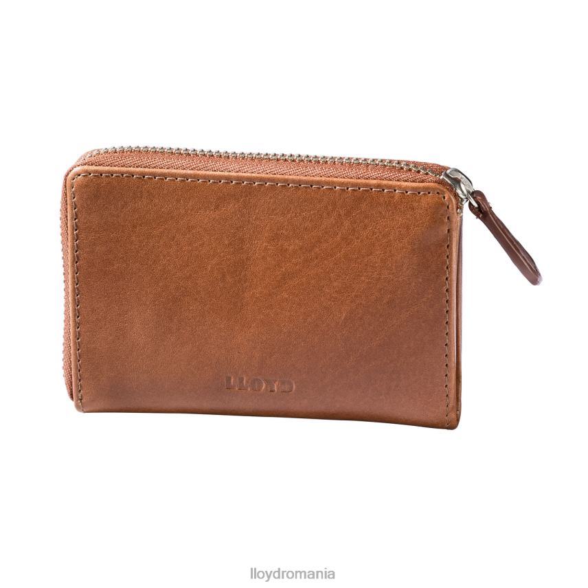 accesorii LLOYD geanta cu chei maro bărbați 68260663