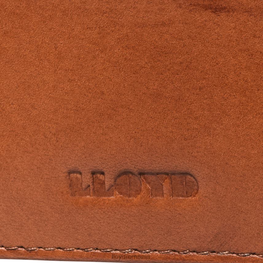 accesorii LLOYD husa card de credit maro bărbați 68260661