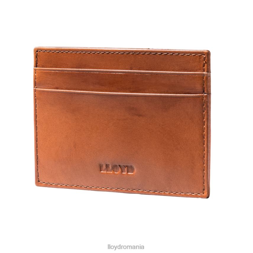 accesorii LLOYD husa card de credit maro bărbați 68260661