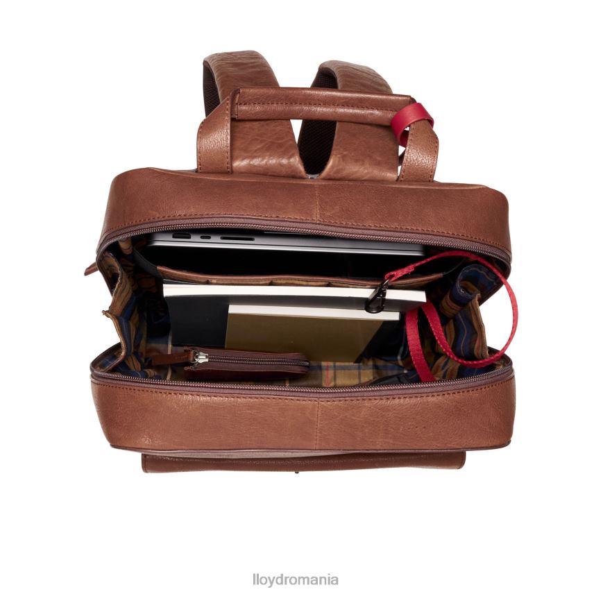 accesorii LLOYD rucsac maro bărbați 68260651