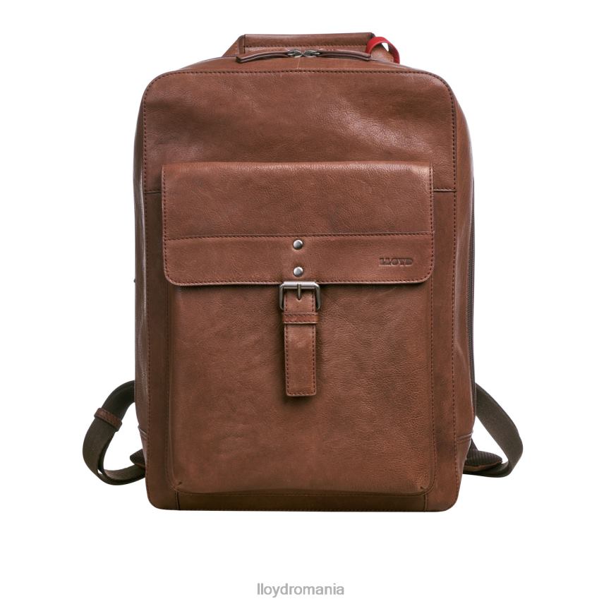 accesorii LLOYD rucsac maro bărbați 68260651