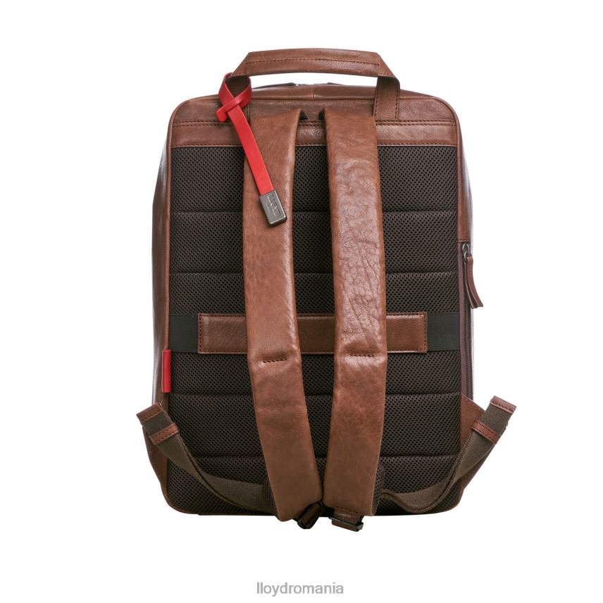 accesorii LLOYD rucsac maro bărbați 68260651