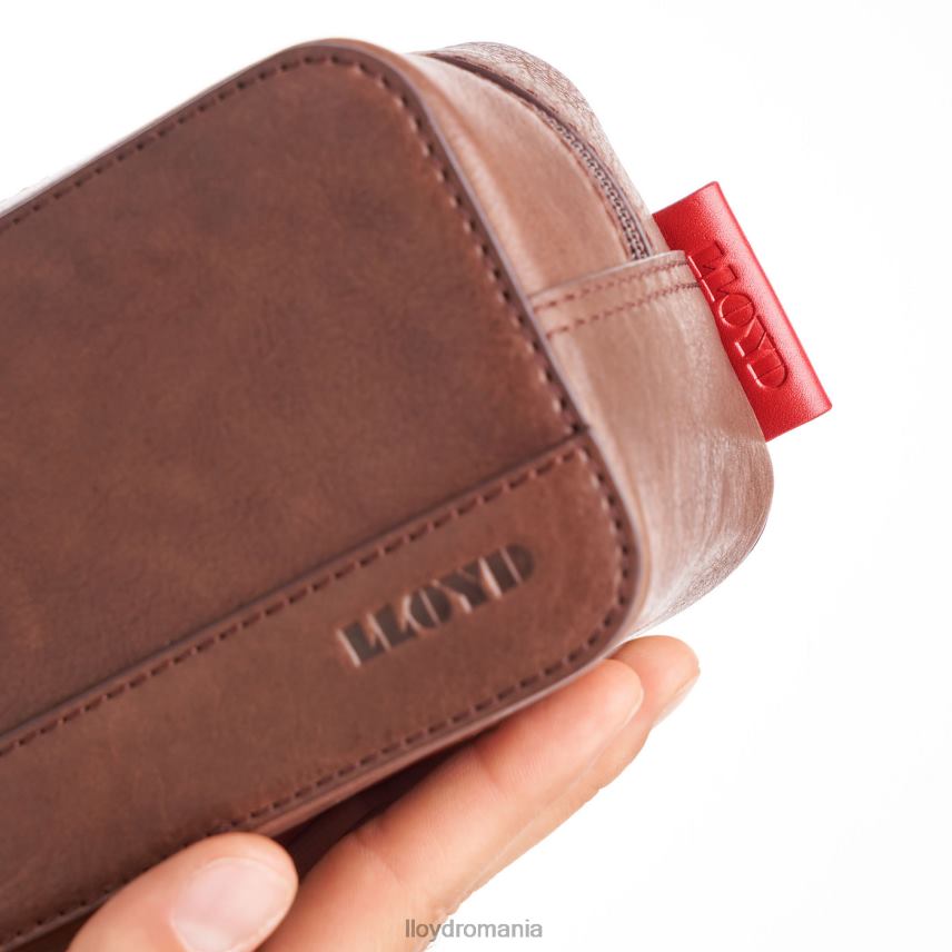 accesorii LLOYD sac de toaletă maro bărbați 68260652