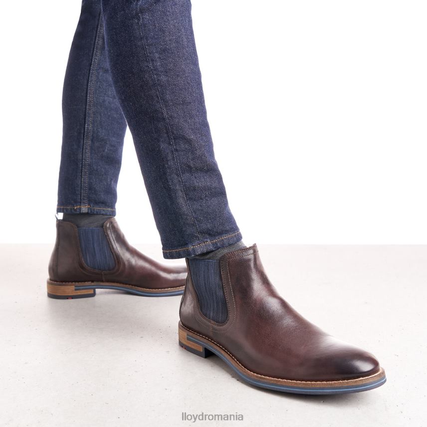 pantofi LLOYD dario maro bărbați 682601342