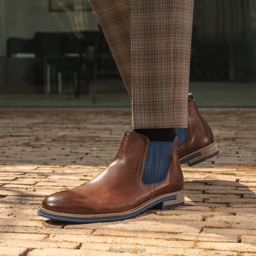 pantofi LLOYD dario maro bărbați 682601343