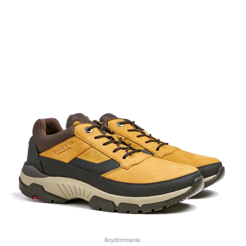 pantofi LLOYD ebe maro bărbați 68260295