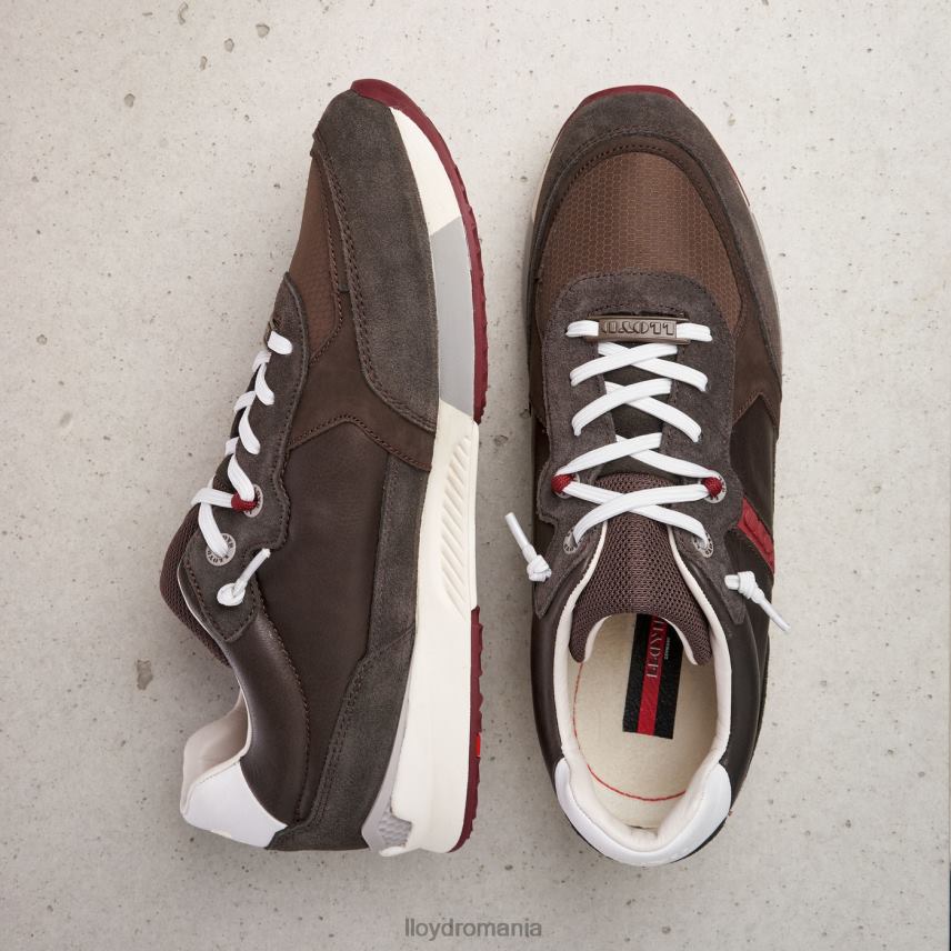 pantofi LLOYD egidio maro bărbați 68260432