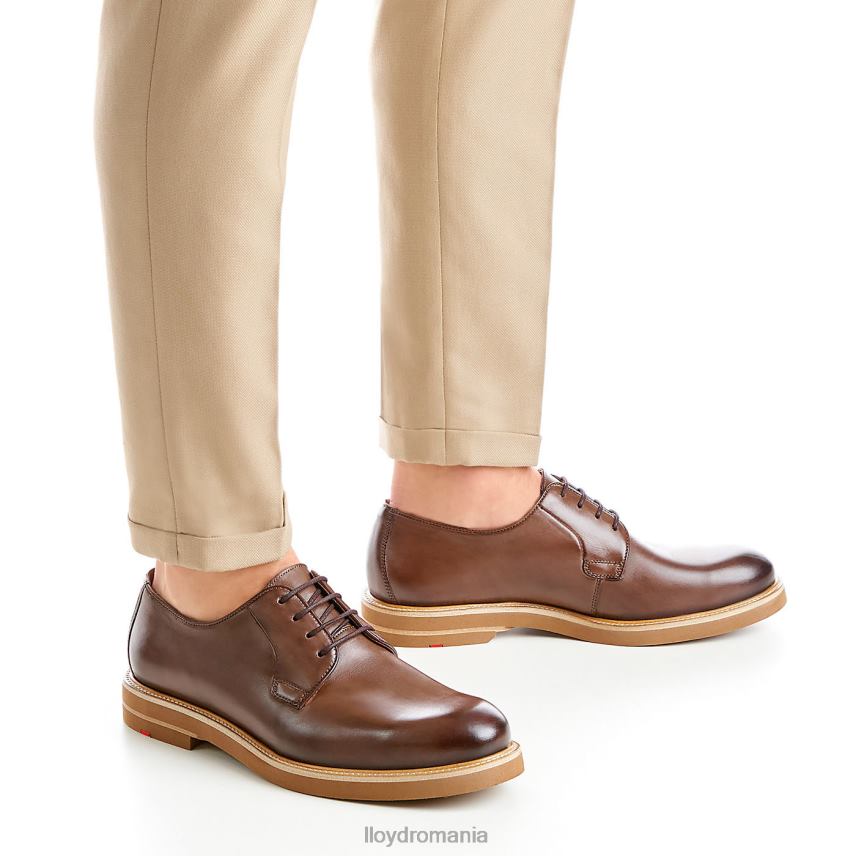 pantofi LLOYD bine maro bărbați 6826077