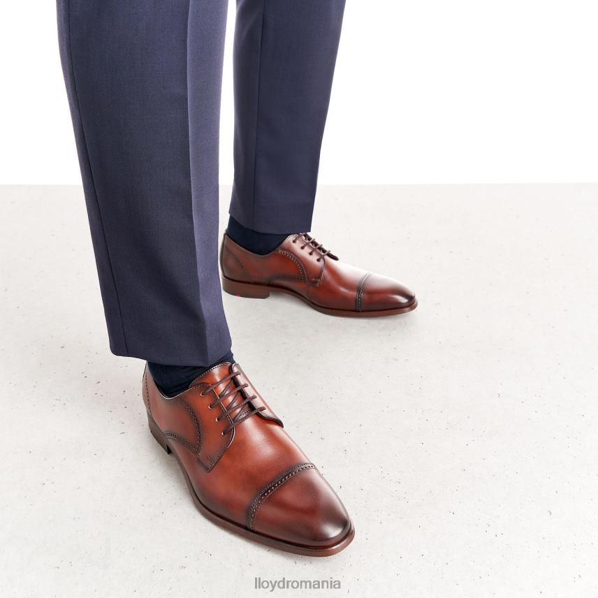 pantofi LLOYD pere maro bărbați 68260177