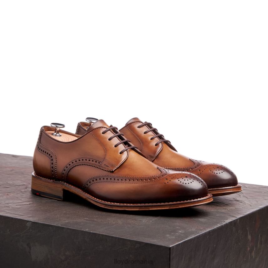 pantofi LLOYD warwick maro bărbați 6826074