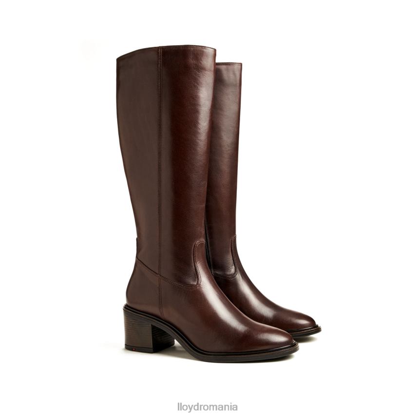 pantofi LLOYD cizme maro femei 682601191