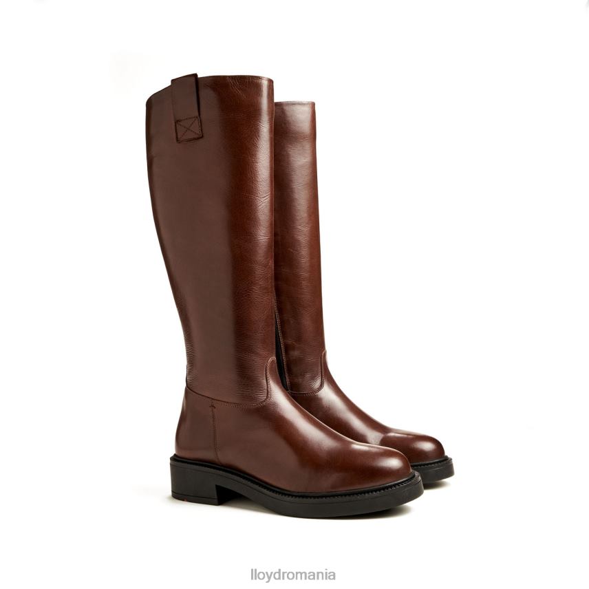 pantofi LLOYD cizme maro femei 682601193