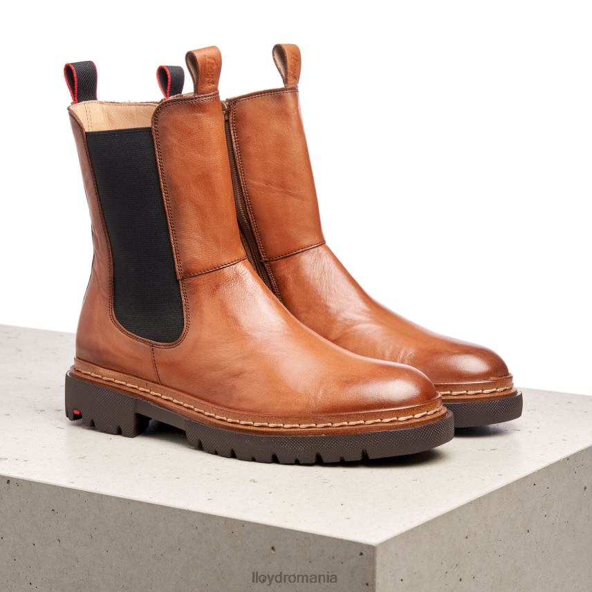 pantofi LLOYD stiefelette maro femei 68260963