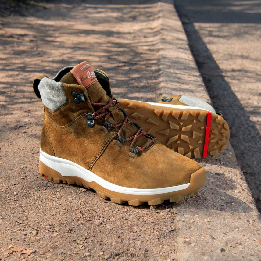 pantofi LLOYD Botine maro femei 68260856