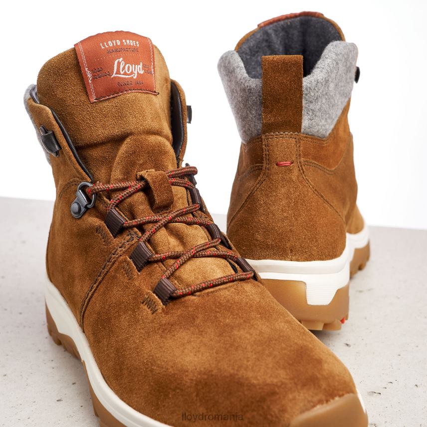 pantofi LLOYD Botine maro femei 68260856