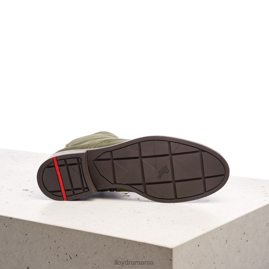 pantofi LLOYD Botine verde femei 68260953