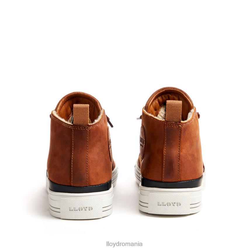 pantofi LLOYD Edward maro bărbați 68260298