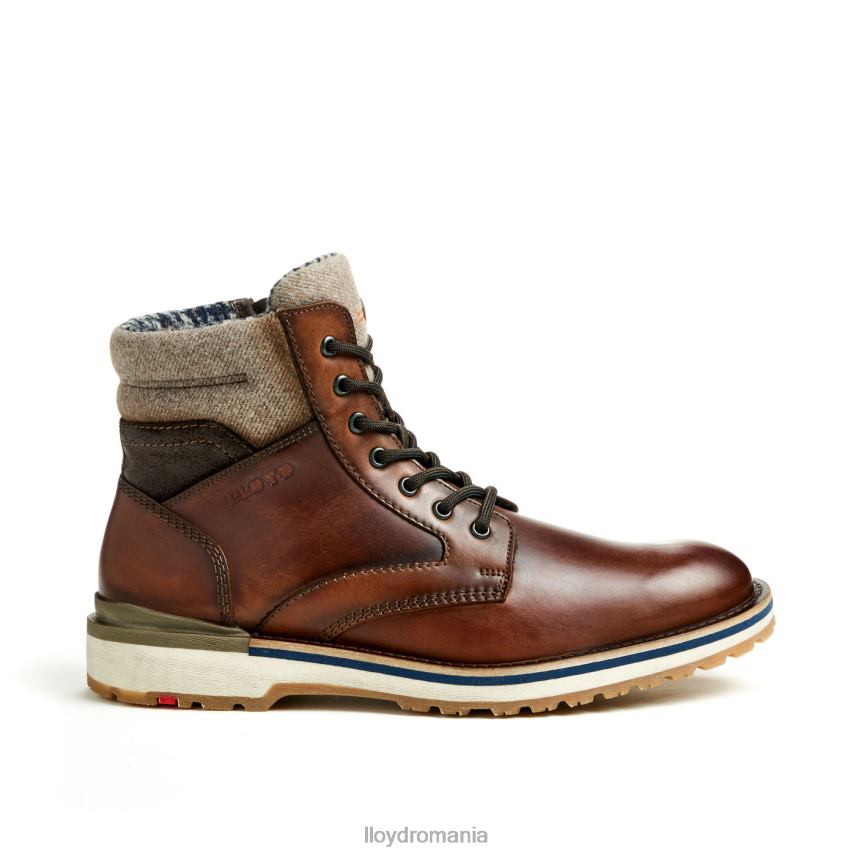 pantofi LLOYD Glenn maro bărbați 68260482