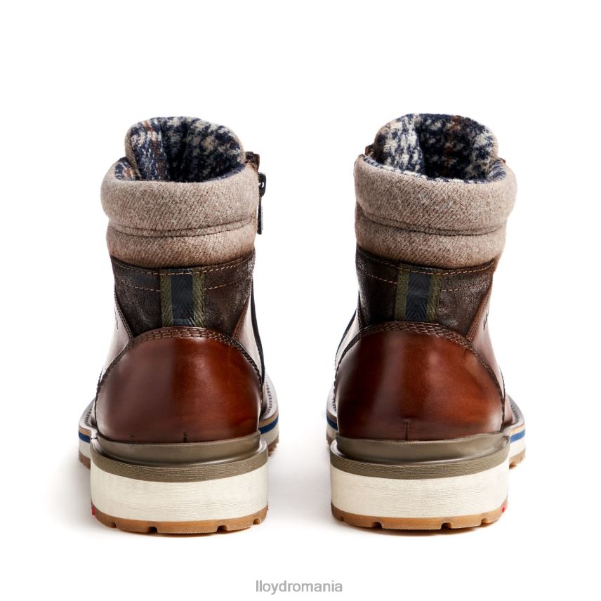 pantofi LLOYD Glenn maro bărbați 68260482