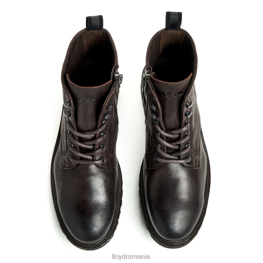 pantofi LLOYD Halifax maro bărbați 68260483