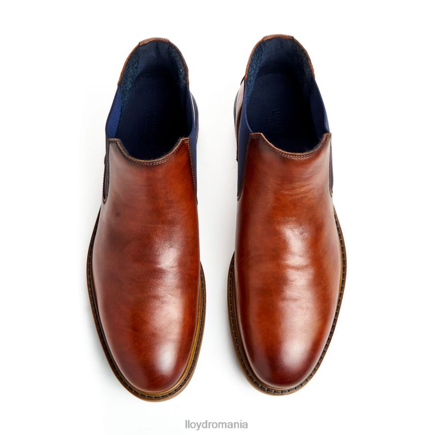 pantofi LLOYD Henry maro bărbați 68260464