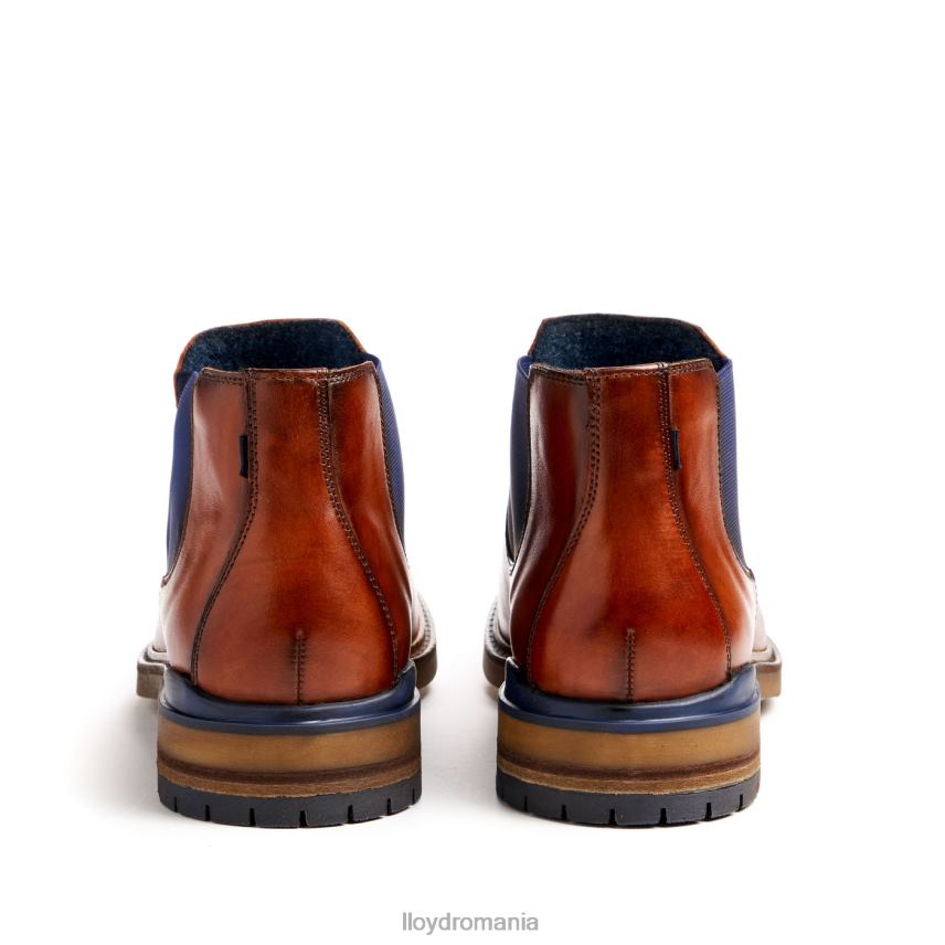 pantofi LLOYD Henry maro bărbați 68260464