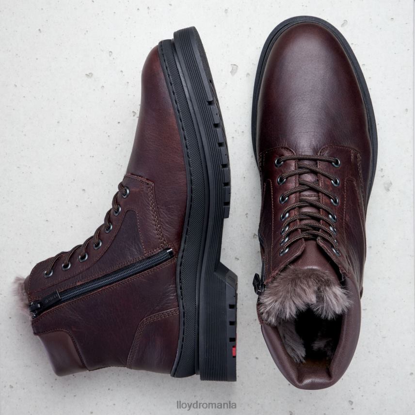 pantofi LLOYD Hollis maro bărbați 68260509