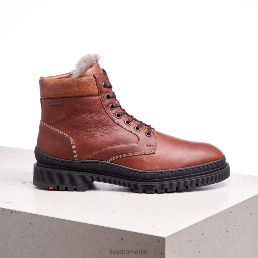 pantofi LLOYD Hollis maro bărbați 68260537