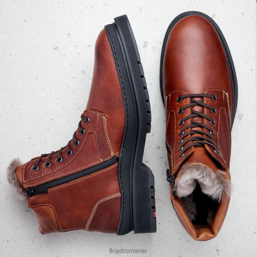 pantofi LLOYD Hollis maro bărbați 68260537