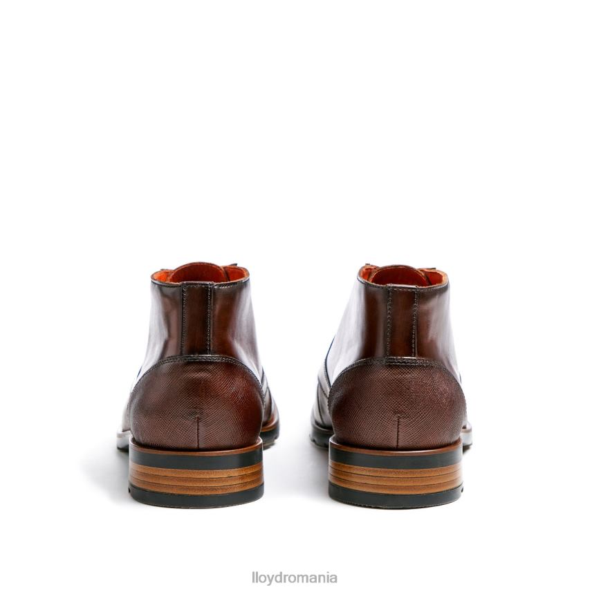 pantofi LLOYD Jeffrey maro bărbați 68260471