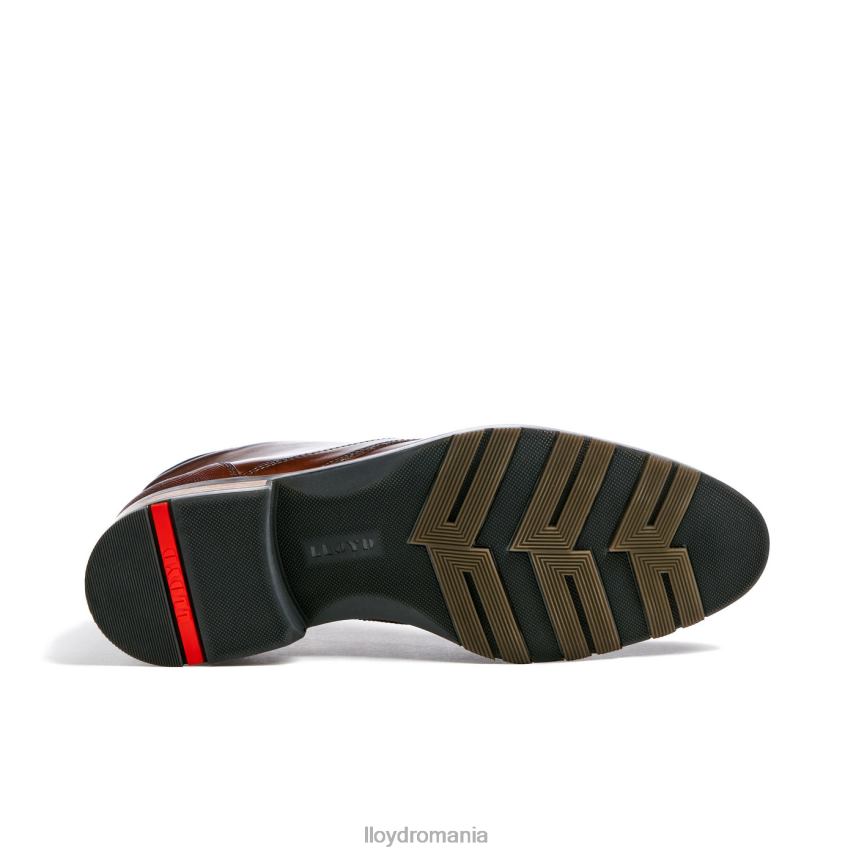 pantofi LLOYD Jeffrey maro bărbați 68260471