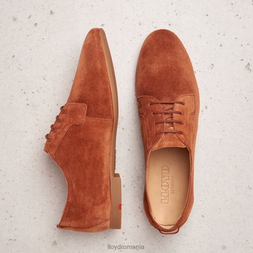 pantofi LLOYD Jumătate de pantofi cu șireturi din piele intoarsa maro femei 682601185