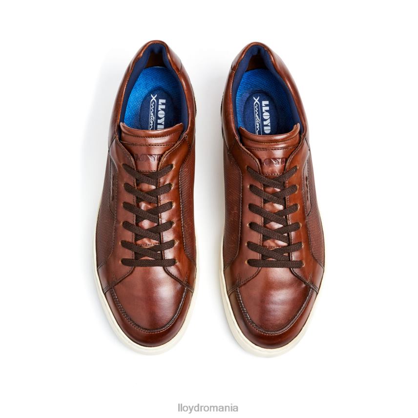 pantofi LLOYD Malaga maro bărbați 68260249