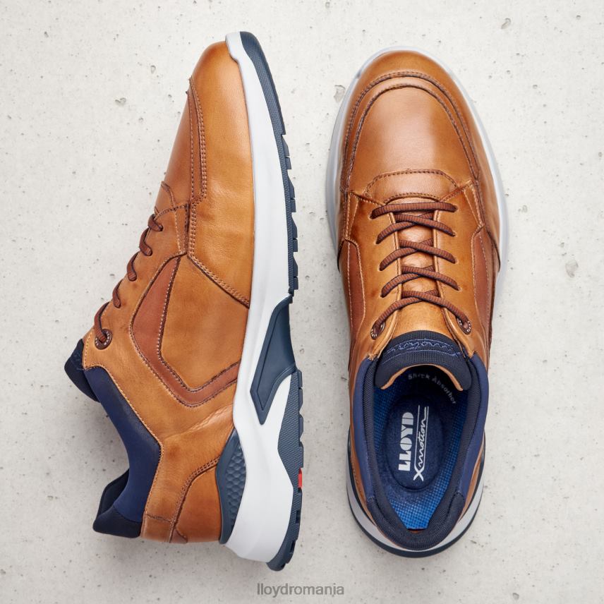 pantofi LLOYD Memphis maro bărbați 682601328