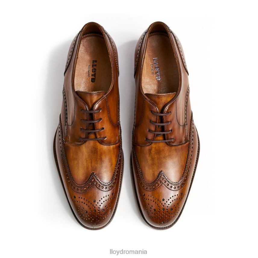 pantofi LLOYD Sheridan maro bărbați 68260205