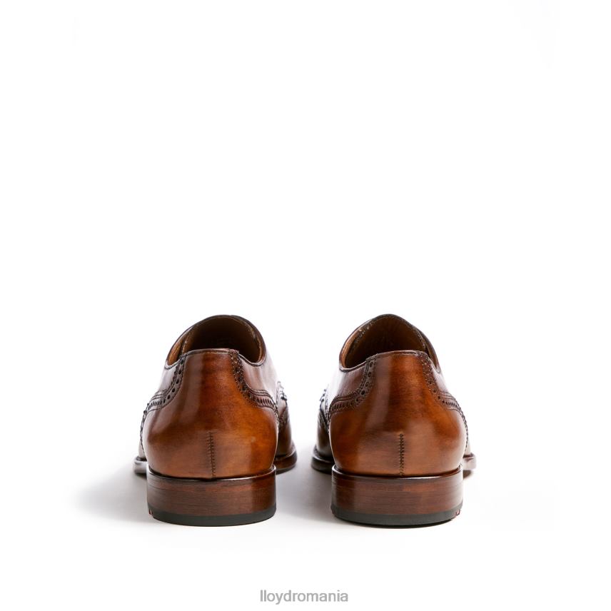 pantofi LLOYD Sheridan maro bărbați 68260205