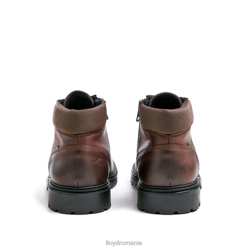 pantofi LLOYD Vancouver maro bărbați 68260534