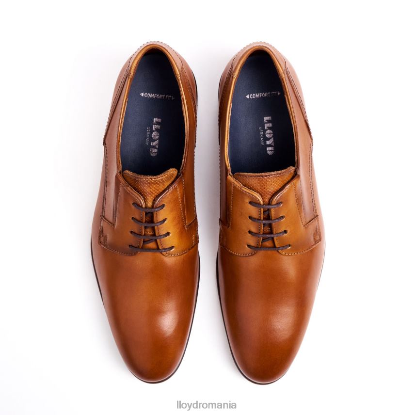 pantofi LLOYD a pastra maro bărbați 68260129