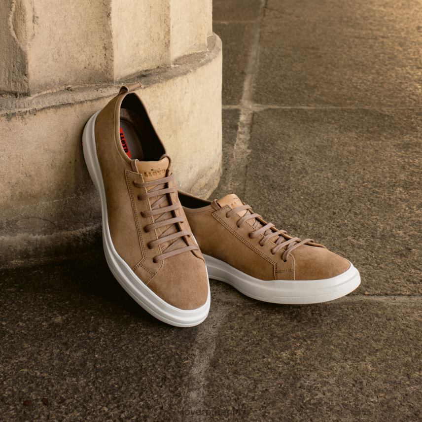 pantofi LLOYD aaro maro bărbați 68260421