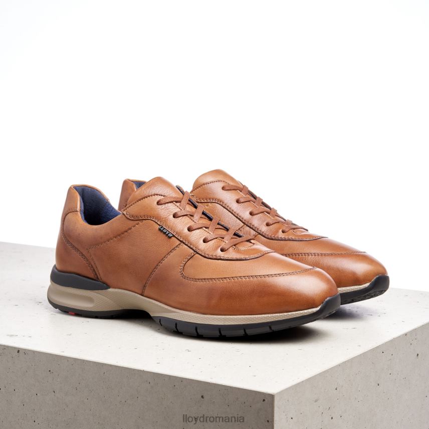 pantofi LLOYD aberdeen maro bărbați 68260392