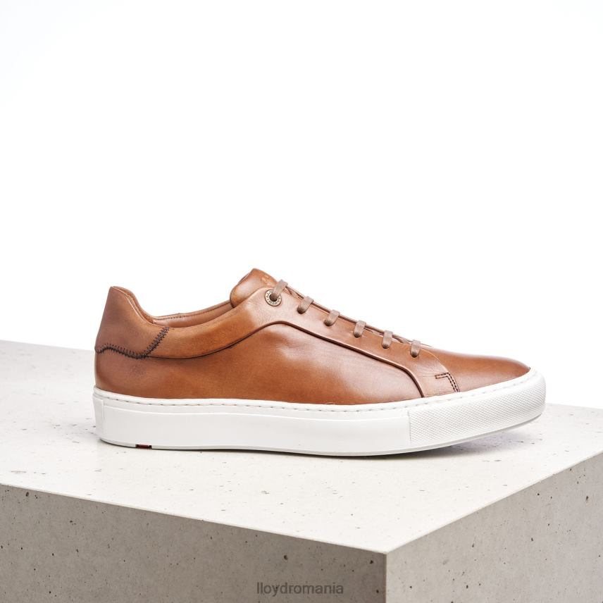 pantofi LLOYD ajan maro bărbați 68260391