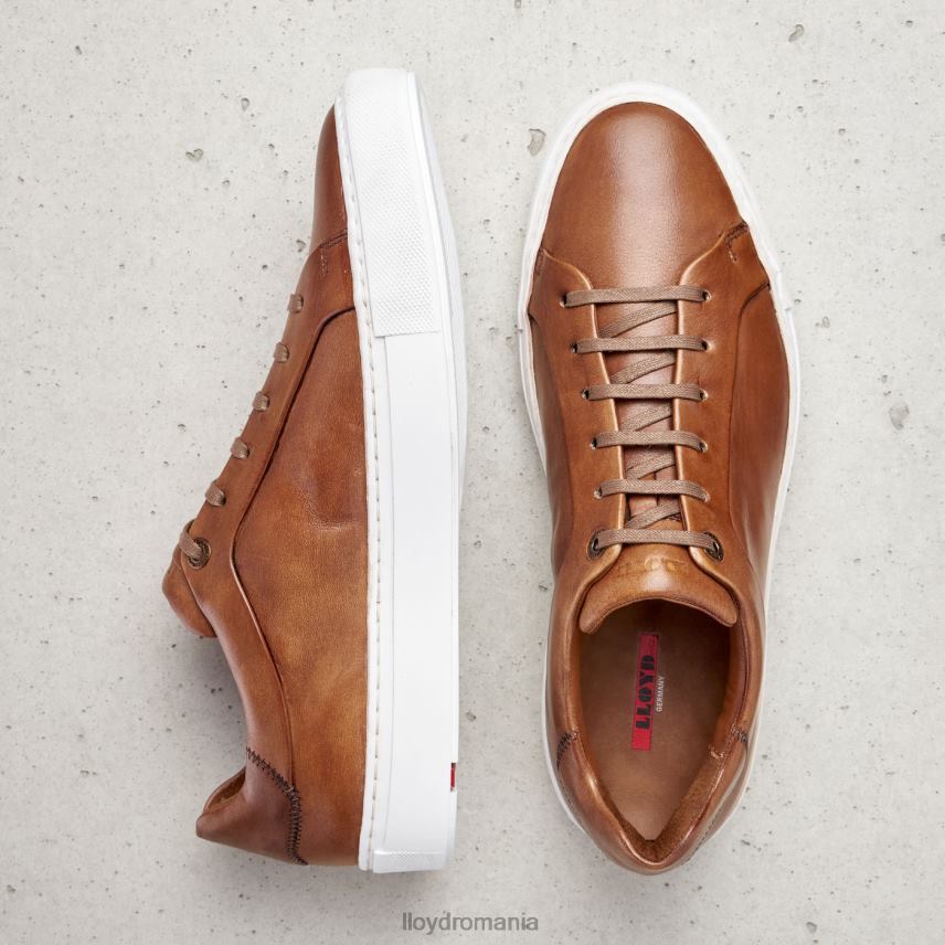 pantofi LLOYD ajan maro bărbați 68260391