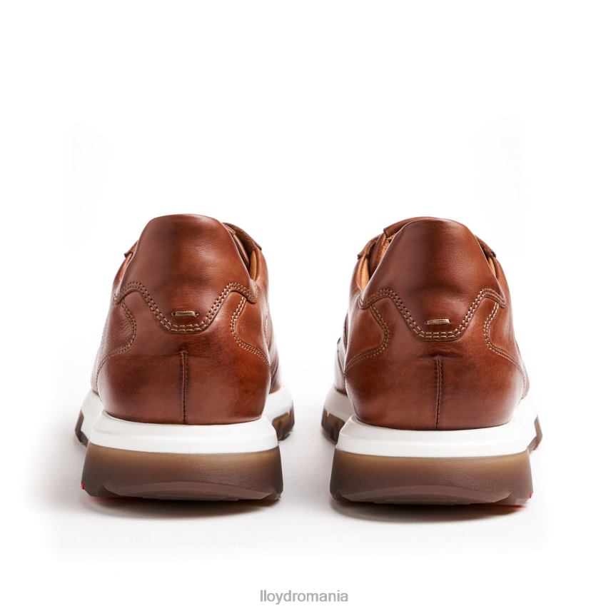 pantofi LLOYD albany maro bărbați 682601337