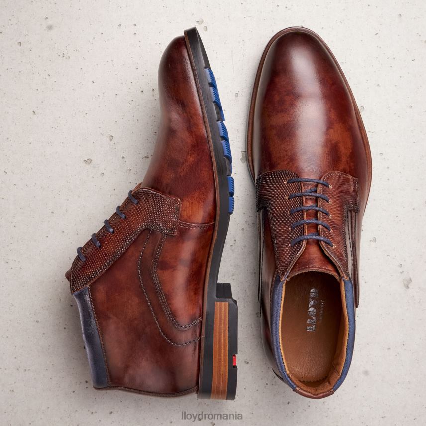 pantofi LLOYD anul maro bărbați 68260542